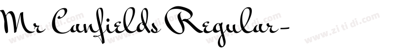 Mr Canfields Regular字体转换